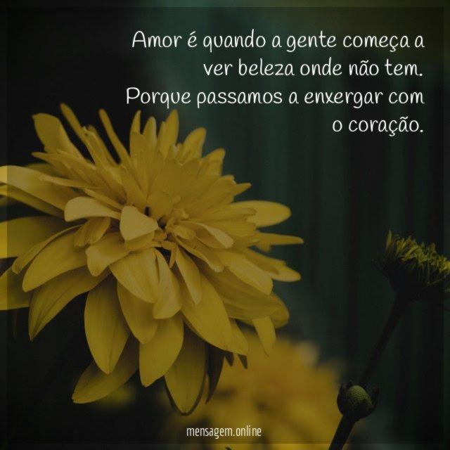 Amor é quando a gente começa a ver