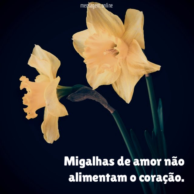 Migalhas de amor não alimentam o coração