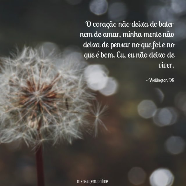 O coração não deixa de bater nem de amar