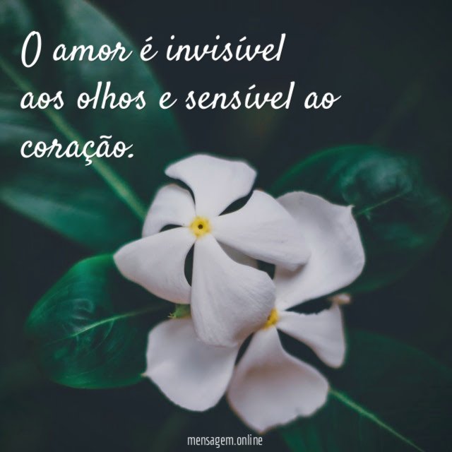 O amor é invisível aos olhos e sensível ao coração
