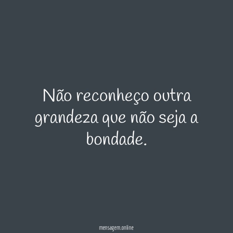Não reconheço outra grandeza que não seja a bondade