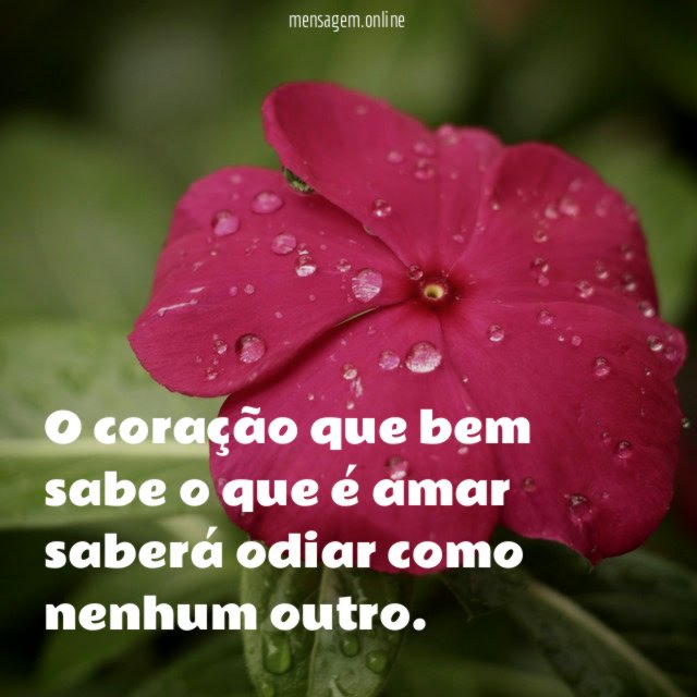 O coração que bem sabe o que é