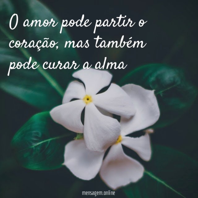 o amor pode partir o coração