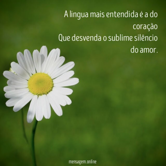 A língua mais entendida é a do coração Que