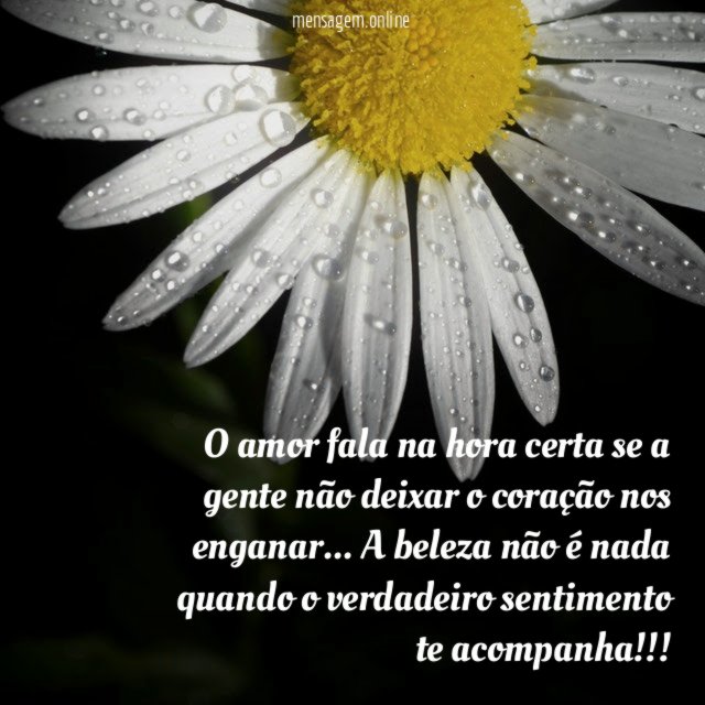 O amor fala na hora certa se a