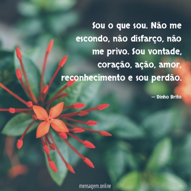 Sou o que sou