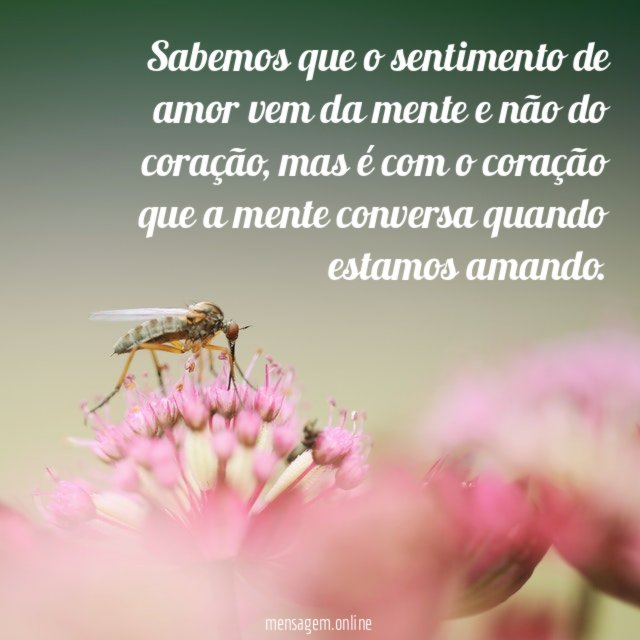 Sabemos que o sentimento de amor vem da