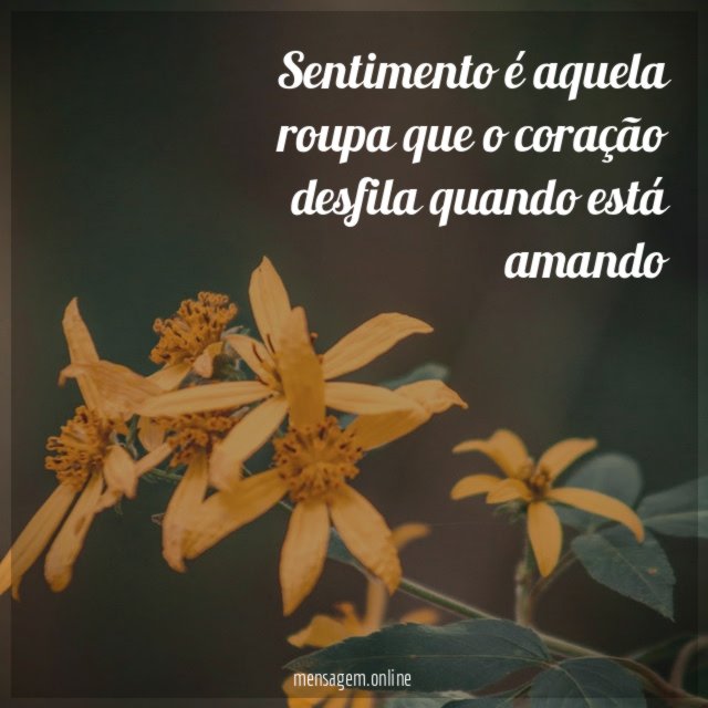 Sentimento é aquela roupa que o coração desfila quando está amando