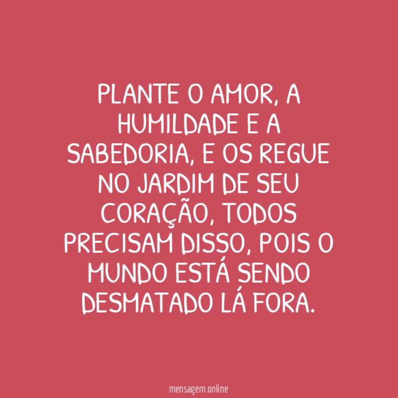 Plante o amor