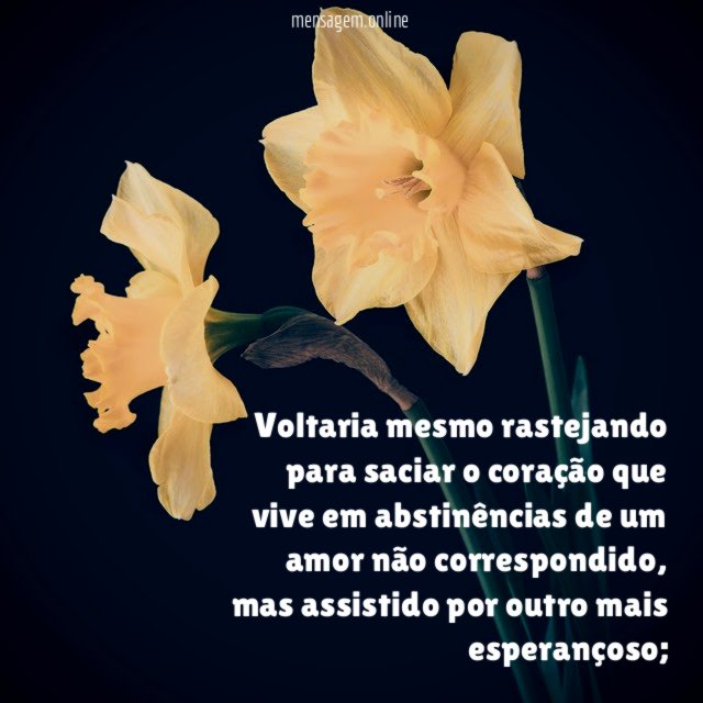 Voltaria mesmo rastejando para saciar o coração que