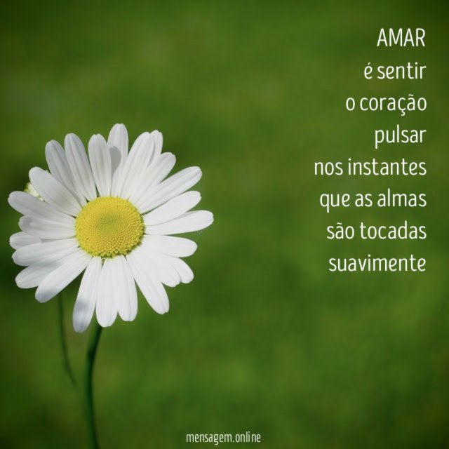 AMAR