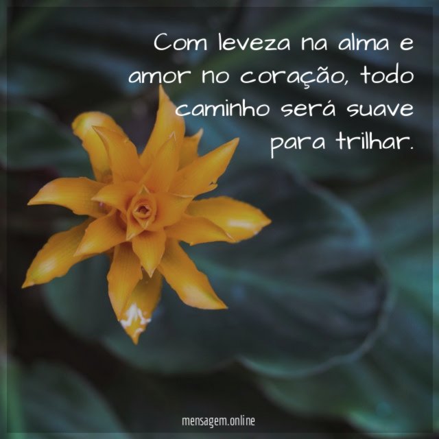 Com leveza na alma e amor no coração