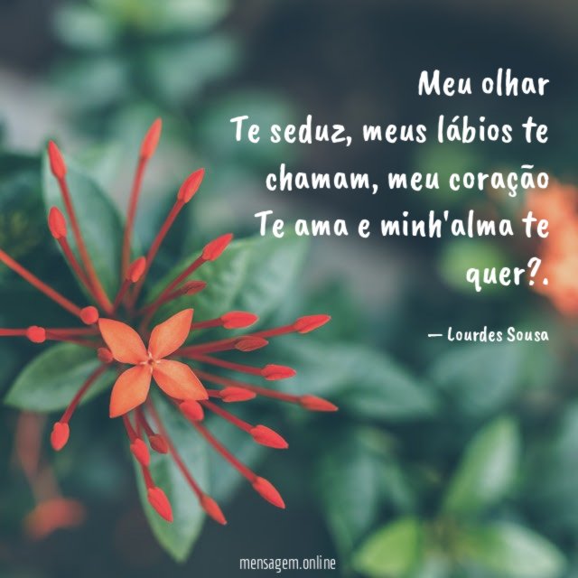 Meu olhar Te seduz