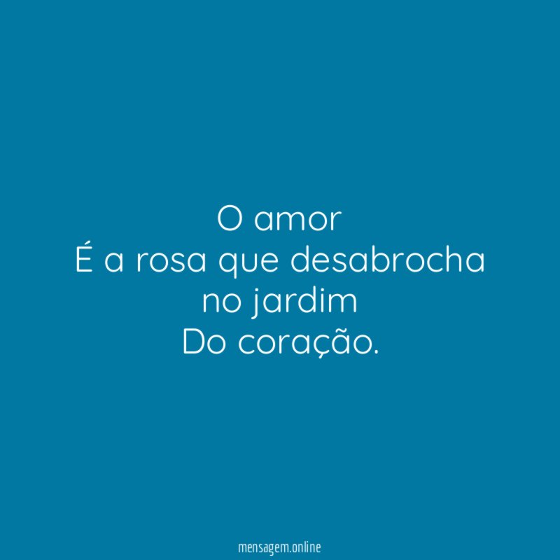 O amor É a rosa que desabrocha no jardim Do coração