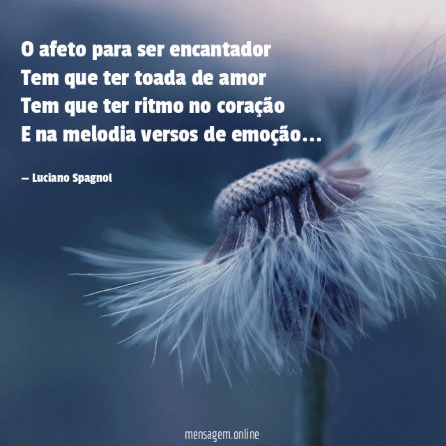 O afeto para ser encantador Tem que ter toada