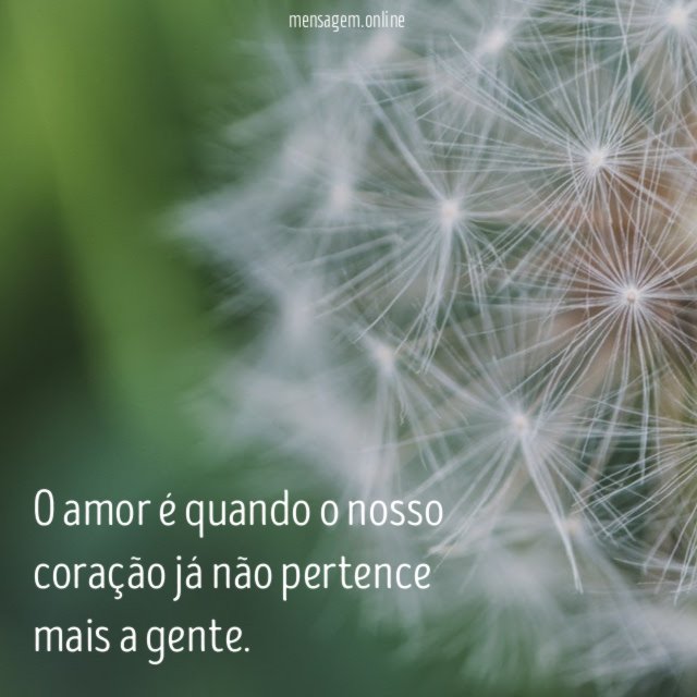 O amor é quando o nosso coração já não