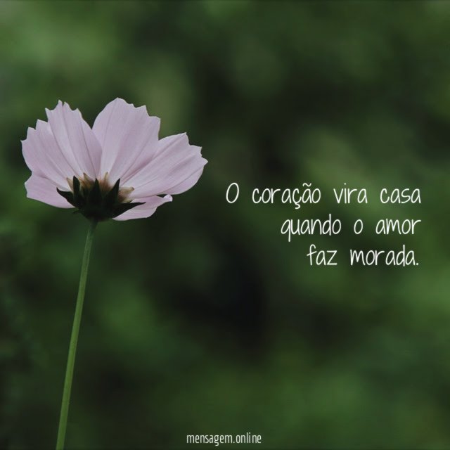 O coração vira casa quando o amor faz morada