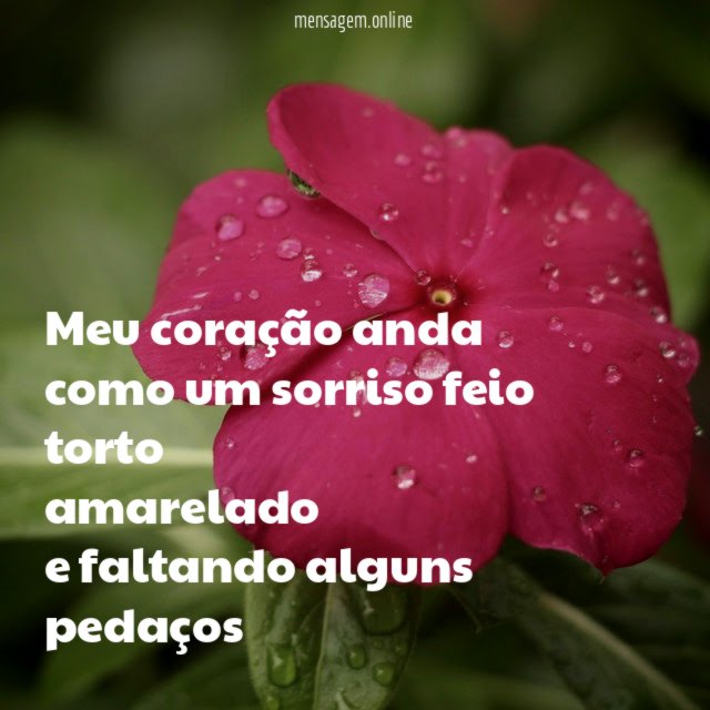 meu coração anda como um sorriso feio torto amarelado e faltando