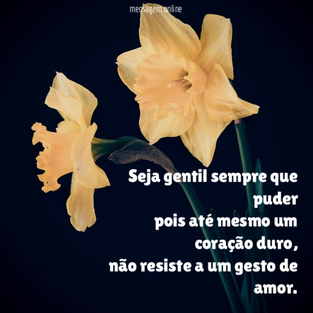 Seja gentil sempre que puder pois até mesmo um coração duro