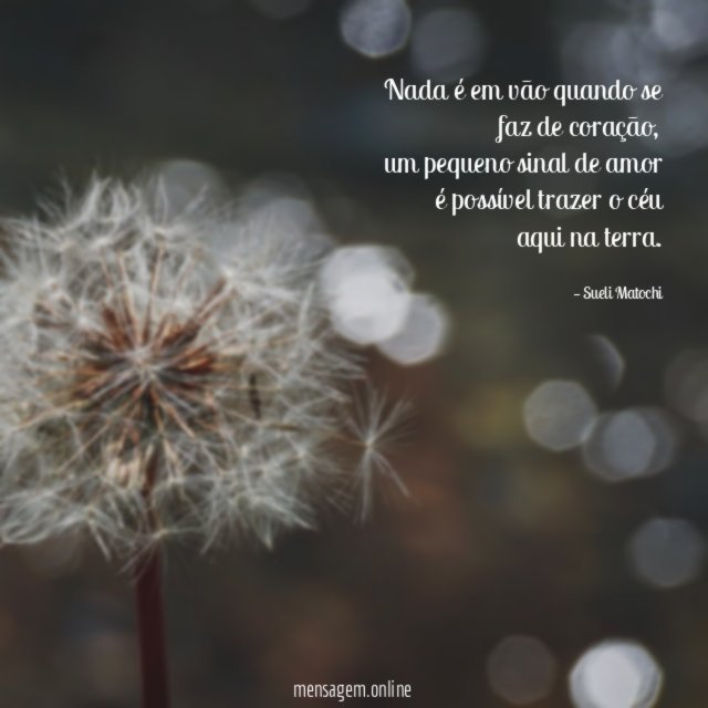 Nada é em vão quando se faz de coração