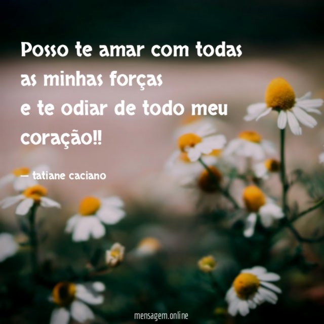 posso te amar com todas as minhas forças