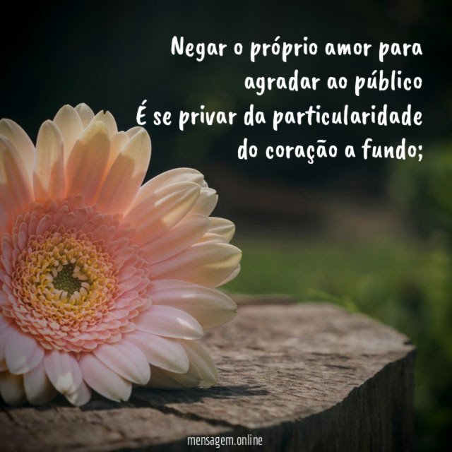 Negar o próprio amor para agradar ao público É