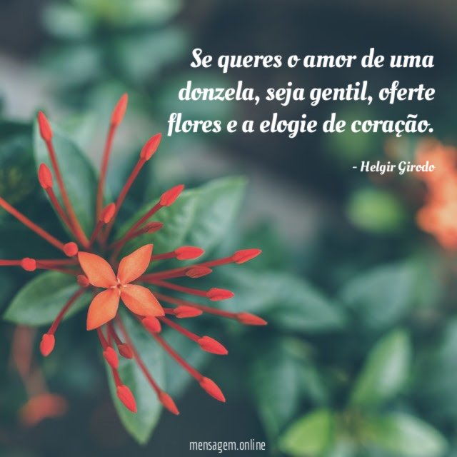 Se queres o amor de uma donzela