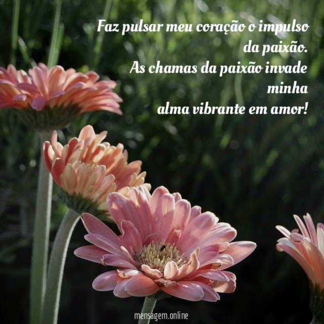 Faz pulsar meu coração o impulso da paixão