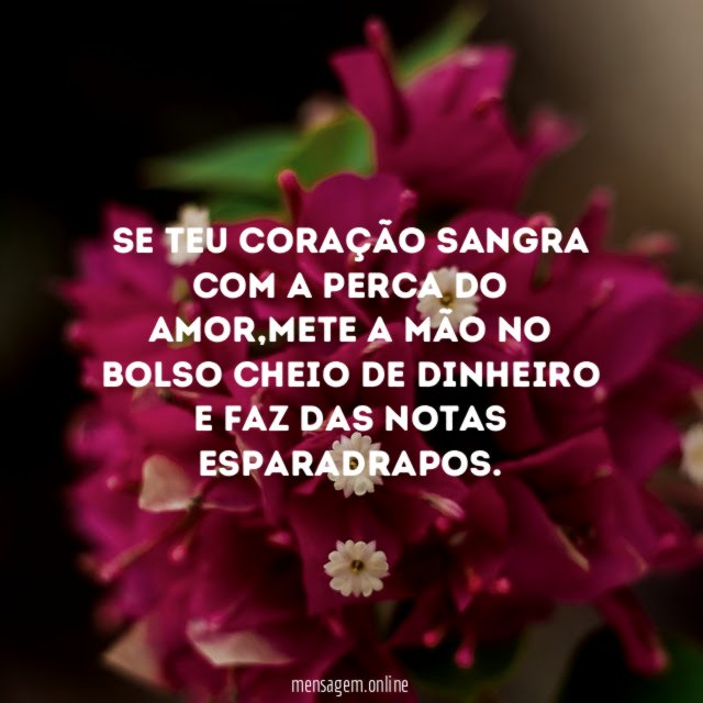Se teu coração sangra com a perca do amor