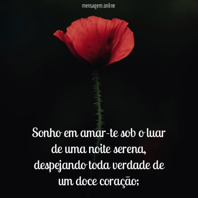 Sonho em amar-te sob o luar de uma noite serena