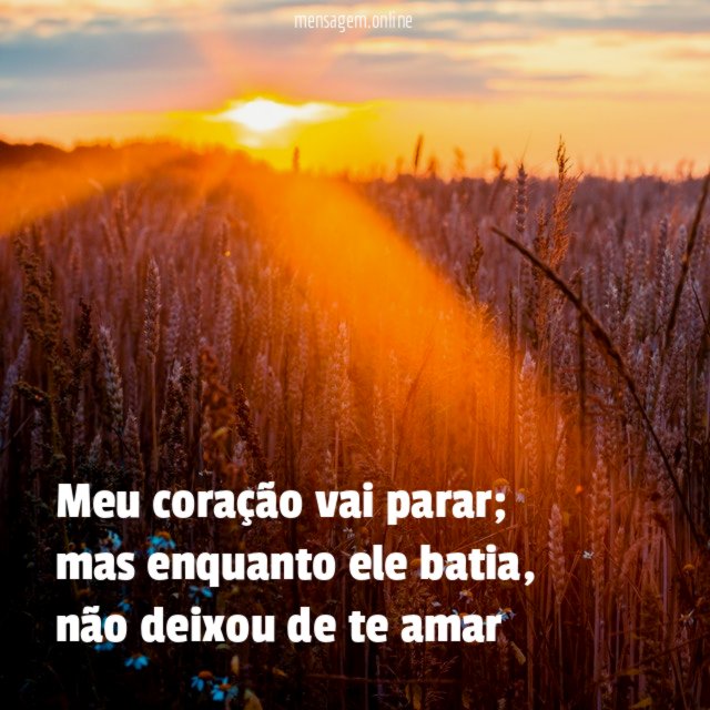 Meu coração vai parar