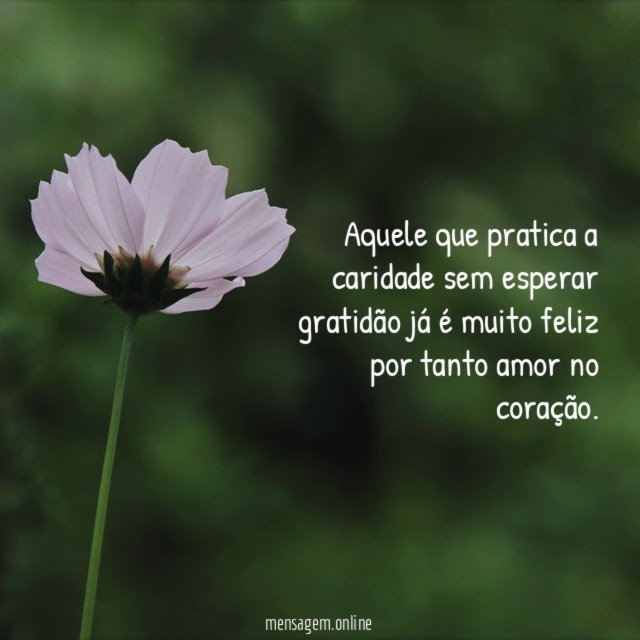 Aquele que pratica a caridade sem esperar gratidão