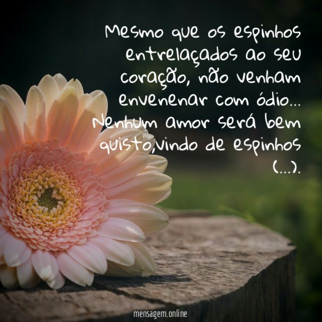 Mesmo que os espinhos entrelaçados ao seu coração
