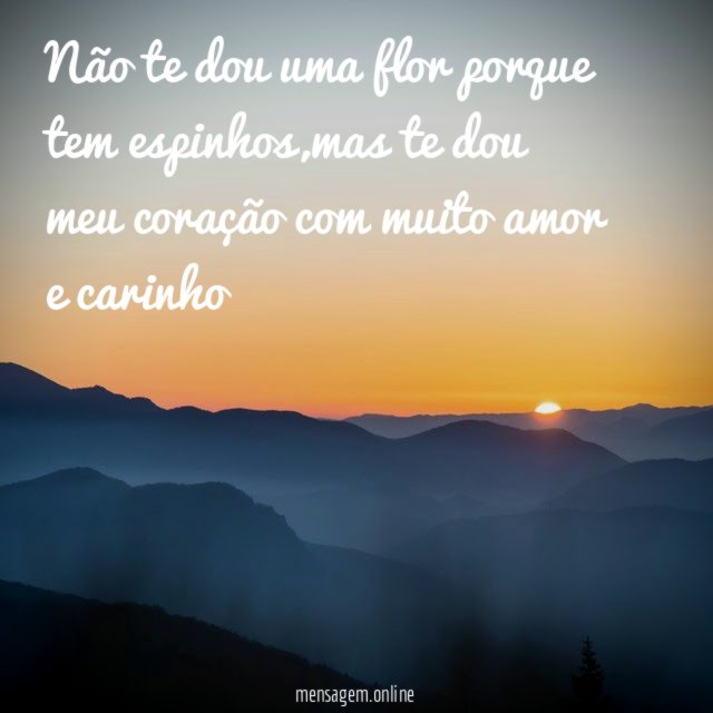 Não te dou uma flor porque tem espinhos