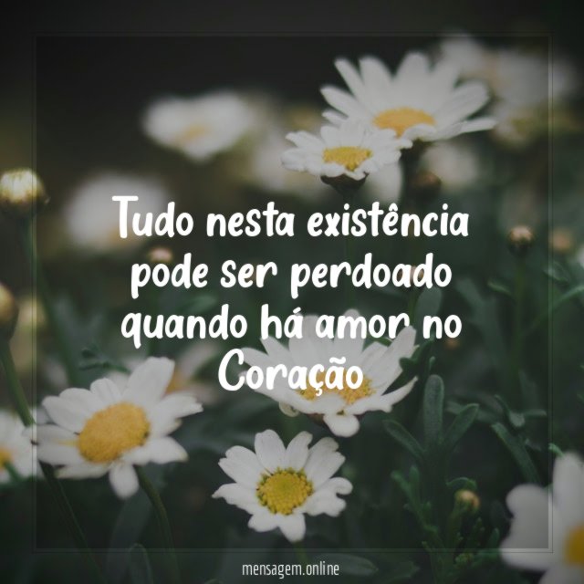 Tudo nesta existência pode ser perdoado quando há