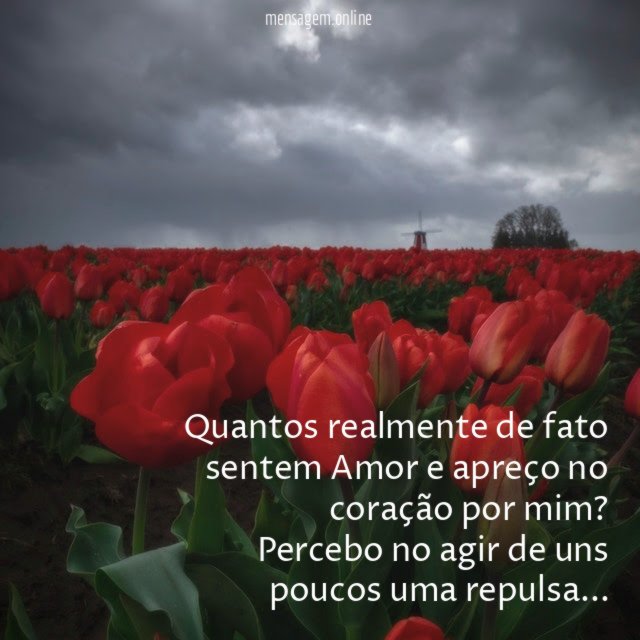 Quantos realmente de fato sentem Amor e apreço