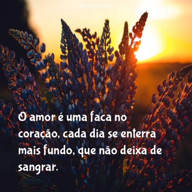 O amor é uma faca no coração