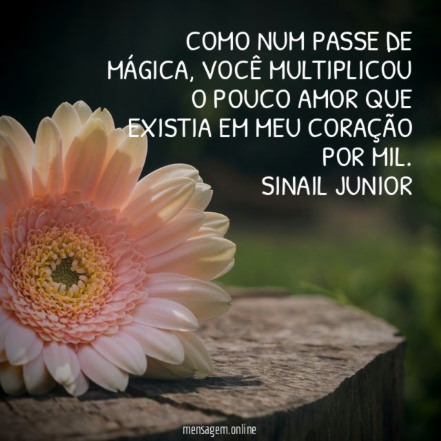 Como num passe de mágica