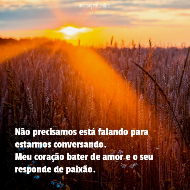 Não precisamos está falando para estarmos conversando