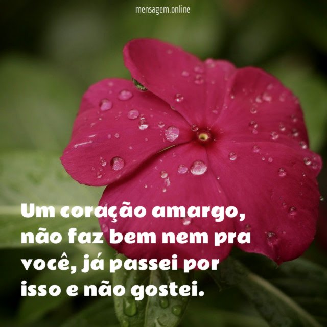 Um coração amargo