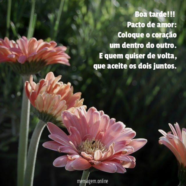 Boa tarde!!!