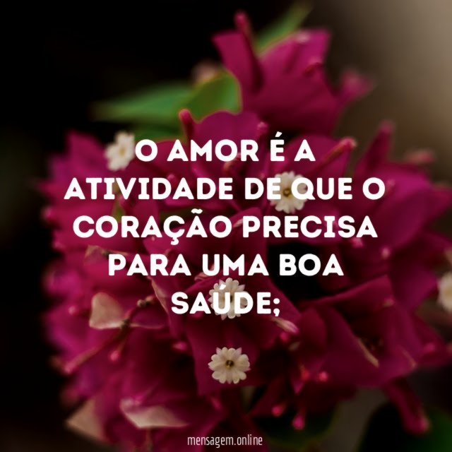 O amor é a atividade de que