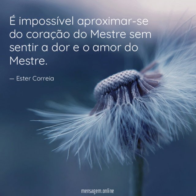 É impossível aproximar-se do coração do Mestre sem