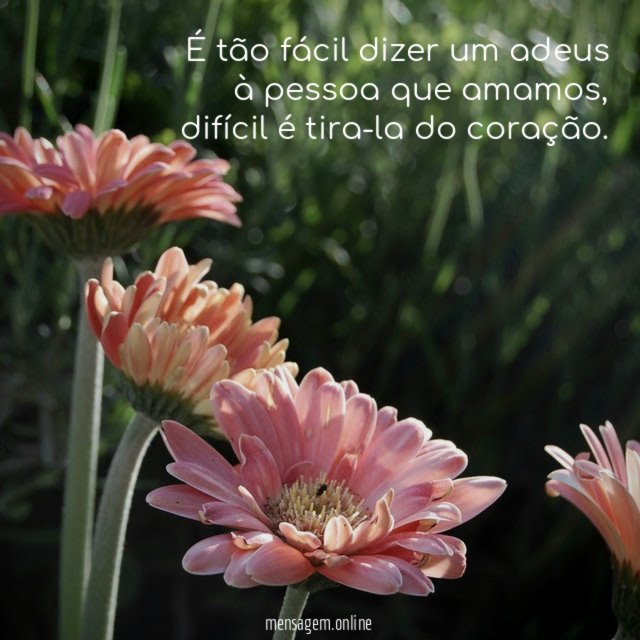 É tão fácil dizer um adeus à pessoa que amamos