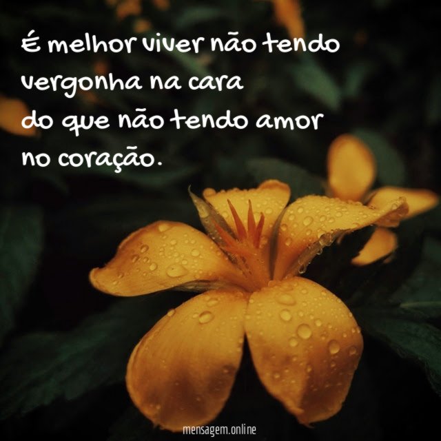 É melhor viver não tendo vergonha na cara do