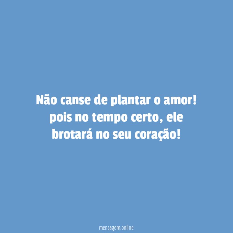 Não canse de plantar o amor