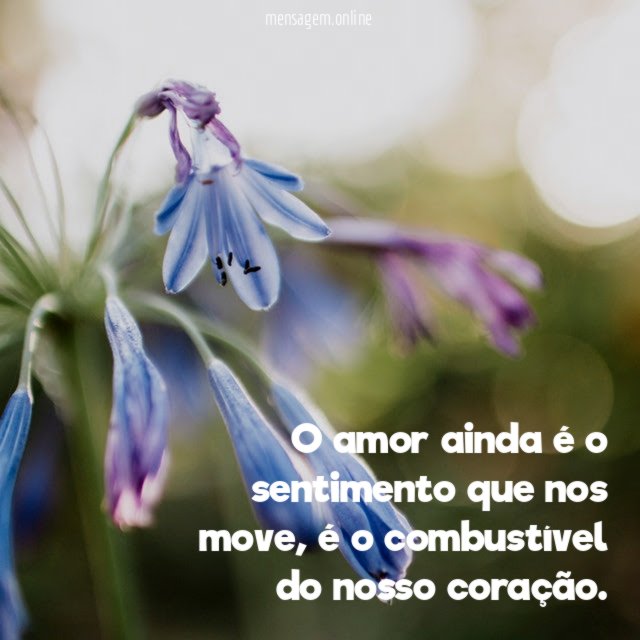 O amor ainda é o sentimento que nos move, é o combustível do nosso coração.
