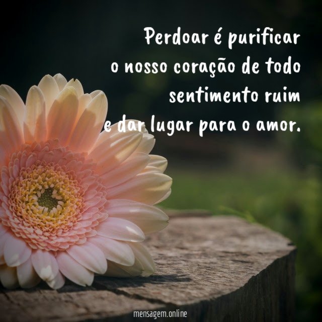 Perdoar é purificar o nosso coração de todo sentimento