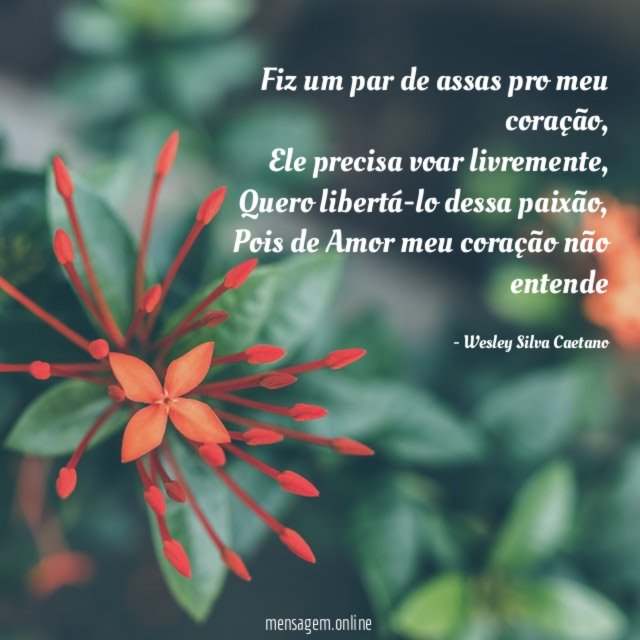 Fiz um par de assas pro meu coração