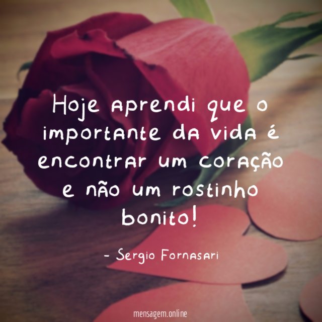 Hoje aprendi que o importante da vida é